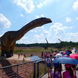 Park Nauki I Rozrywki w Krasiejowie