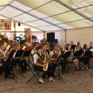 Orkiestra Dęta z Borek Małych